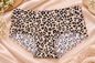 Premium Leopard Print Seamless Panty